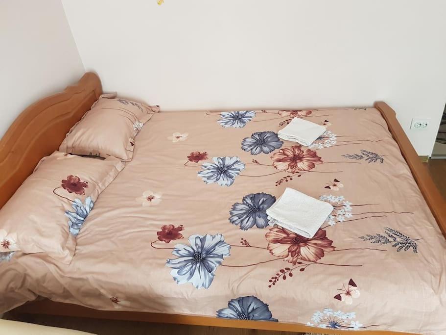 Garsoniera Emilia Διαμέρισμα Câmpulung Moldovenesc Εξωτερικό φωτογραφία