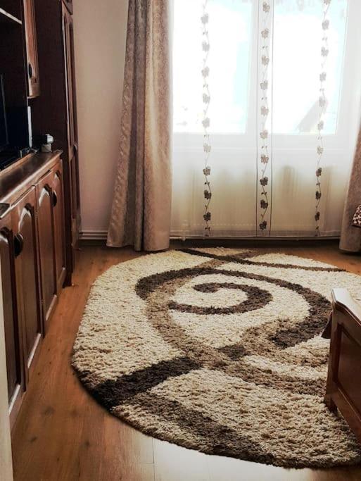 Garsoniera Emilia Διαμέρισμα Câmpulung Moldovenesc Εξωτερικό φωτογραφία